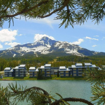 a palm tree in front of a body of water